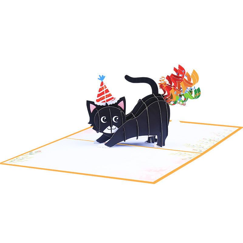Verjaardag - Kat