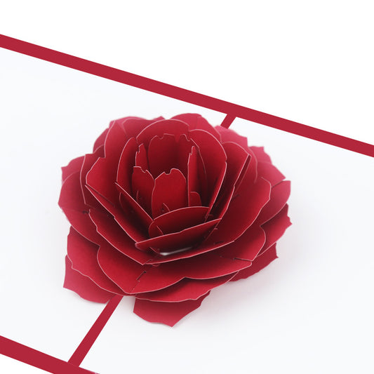 Roos valentijn kaart pop up 3d